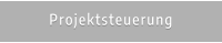 Projektsteuerung