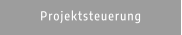 Projektsteuerung