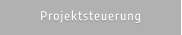 Projektsteuerung