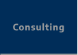 Consulting